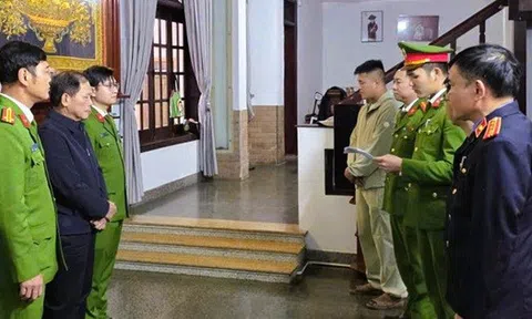 Giám đốc kinh doanh xe điện kê khống 8,3 tỉ đồng tiền lương để trốn thuế