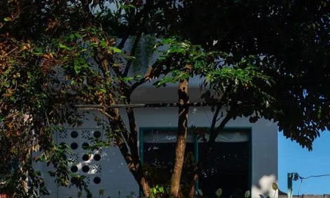 Gia chủ thư thái trong ngôi nhà màu xanh dịu mát