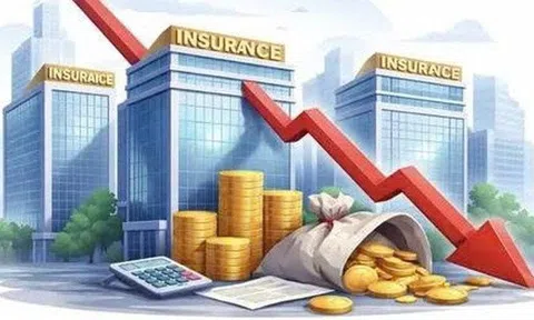 Bức tranh lợi nhuận của các doanh nghiệp ngành bảo hiểm trong năm 2025