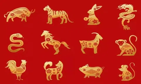 Từ mồng 1 tháng Giêng có 3 con giáp được cát tinh hỗ trợ, quý nhân che chở, sự nghiệp thăng hoa rạng rỡ