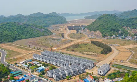 Doanh nghiệp bất động sản tất bật M&A trong năm 2025