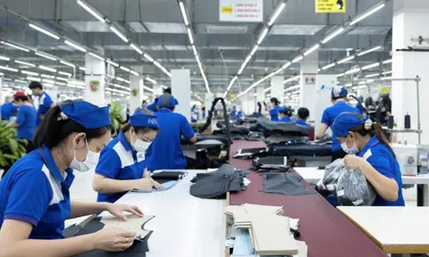 Nhìn lại một năm thăng trầm thị trường việc làm