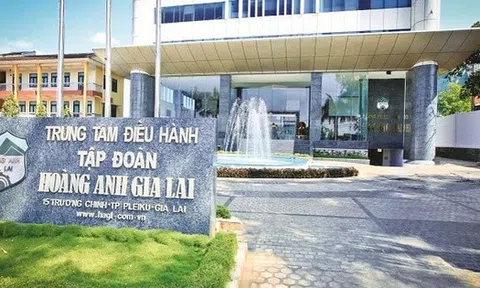 HAGL chốt quyền tham dự ĐHĐCĐ thường niên 2026