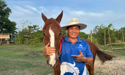 Đầu xuân Bính Ngọ 2026: Thăm trang trại ngựa lớn nhất TPHCM