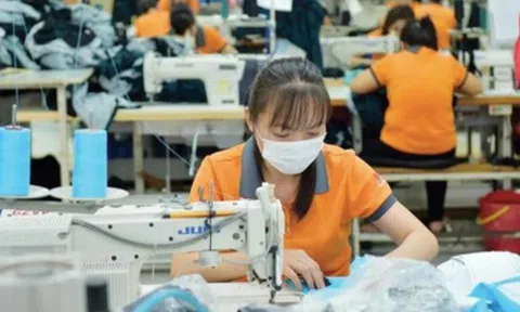 Lo vướng thủ tục kế toán cho doanh nghiệp siêu nhỏ