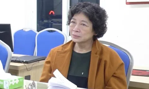 Truy tố 2 mẹ con Chủ tịch Tập đoàn Sen Tài Thu lừa đảo gần 1.000 tỉ đồng