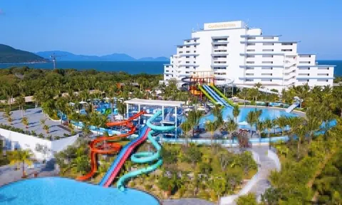 Crystal Bay Airlines từ góc nhìn đầu tư: Tối ưu vốn và giá trị dài hạn