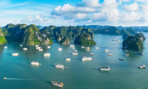 Nhà đầu tư đón cơ hội vàng ở Đặc khu kinh tế thế hệ mới Vân Đồn