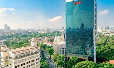 Vì sao Hạ tầng Gelex (GEL) và Petrosetco (PET) dồn dập lập công ty chung?