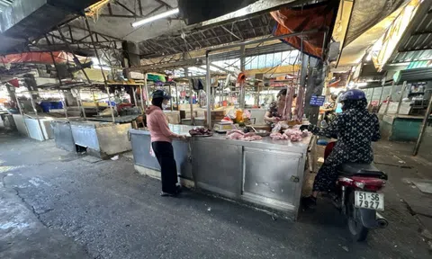 Giá heo hơi hôm nay, 25-2: Diễn biến mới từ các hộ chăn nuôi nhỏ lẻ