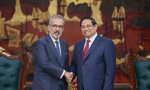 Doanh nghiệp Bồ Đào Nha muốn tham gia các dự án năng lượng tái tạo ở Việt Nam