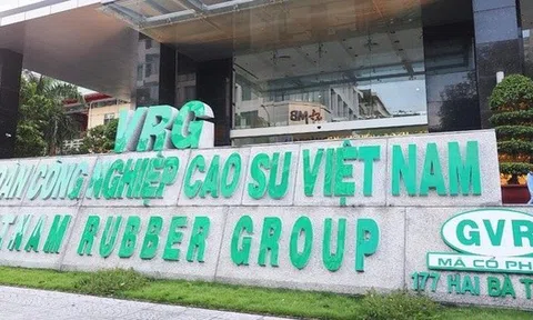 Một số công ty con của GVR thua lỗ, rủi ro mất vốn nhà nước