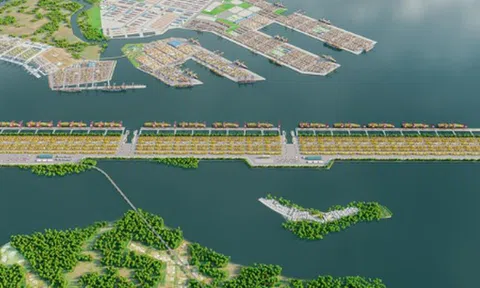 TP.HCM lựa chọn nhà đầu tư thực hiện Dự án Cảng trung chuyển quốc tế Cần Giờ