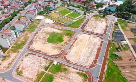 Đấu giá đất ven đô Hà Nội: Tăng nhiệt cục bộ hay tín hiệu hồi phục thị trường?