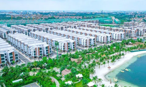 Tỉnh sát vách Hà Nội sắp có dự án gần 7.000 tỷ đồng, giáp Vinhomes Ocean Park của tỷ phú Phạm Nhật Vượng