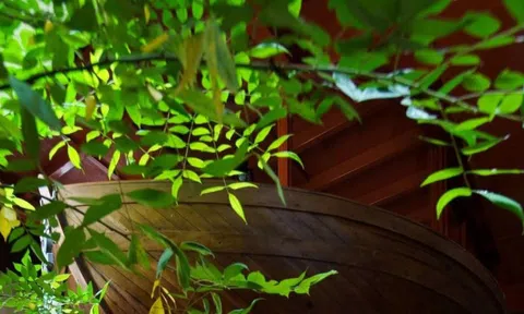 Ngôi nhà với cách sắp đặt không gian thú vị dùng cả chiếc thuyền làm nội thất