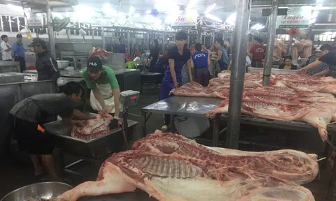 Giá heo hơi hôm nay, 8-3: Diễn biến mới tại chợ đầu mối