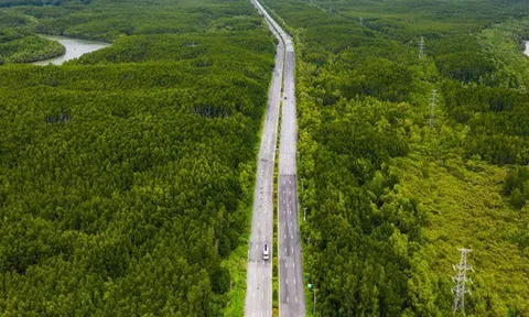 Đề xuất đầu tư tuyến vượt biển Cần Giờ – Vũng Tàu dài 14 km