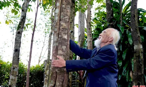 Cụ ông 98 tuổi biến khối gỗ mục làm củi thành "vàng", kiếm 200 tỷ mỗi năm cho vùng rốn lũ miền Trung