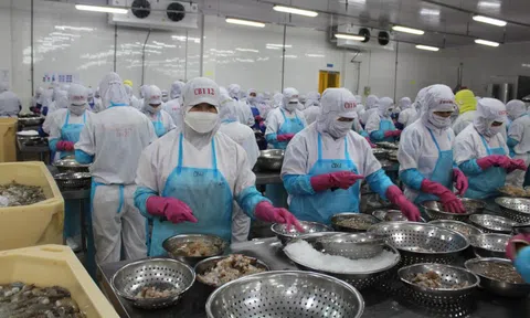 Xuất khẩu nông, lâm, thủy sản có thể giảm hàng tỉ USD vì xung đột ở Trung Đông