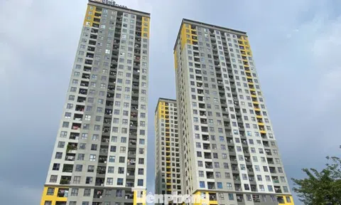 Nhà thương mại giá phù hợp khống chế lợi nhuận tối đa 15%