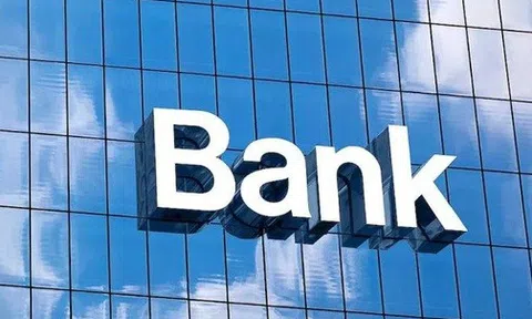 Không phải BIDV hay VietinBank, đây mới là ngân hàng trích lập dự phòng rủi ro tín dụng nhiều nhất hệ thống: Chi phí dự phòng dao động quanh 1 tỷ USD, cứ làm ra 2 đồng phải trích lập 1 đồng
