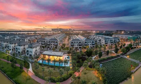 Chuyện gì đang xảy ra với Novaland?