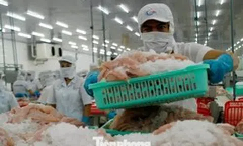 Một số doanh nghiệp thủy sản tạm dừng xuất khẩu Trung Đông