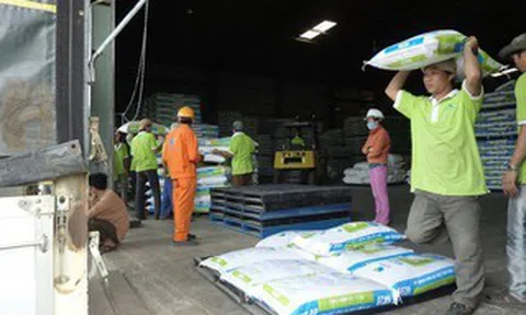 Căng thẳng Trung Đông kéo dài, giá thức ăn chăn nuôi có thể tăng 10%