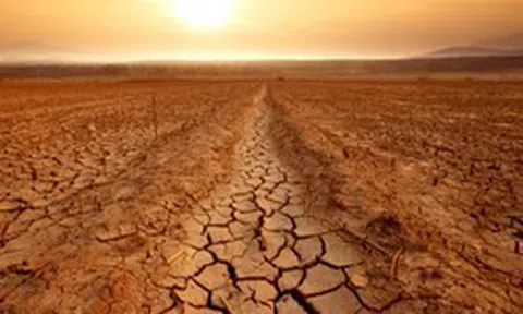 Vietcap: El Nino "tái xuất" sau tháng 8, lộ diện những mã cổ phiếu tiềm năng