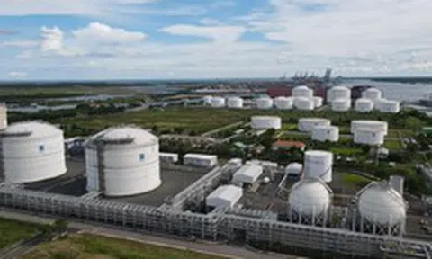 Nghệ An lập tổ đặc nhiệm cho Siêu dự án 60.000 tỷ: Cuộc chơi lớn bất ngờ của 'người đàn bà sữa' Thái Hương