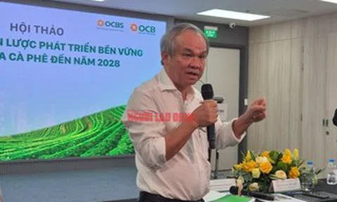 Bầu Đức gác lại kế hoạch nghỉ hưu, đặt tham vọng dẫn đầu thế giới về cà phê