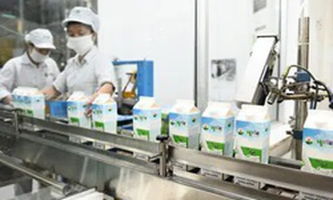 An Phước, Mộc Châu và những cú "vạ lây" vì trùng tên doanh nghiệp