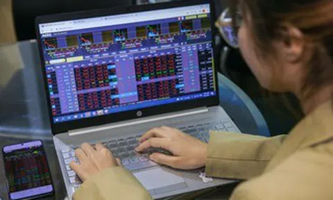 Chuyên gia nêu lý do chứng khoán thủng 1.600 điểm nhưng nhiều cổ phiếu vẫn tăng trần?