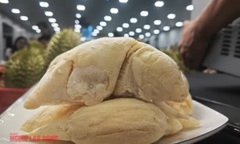 Sầu riêng Ri 6 Việt Nam áp đảo chợ châu Á ở Mỹ