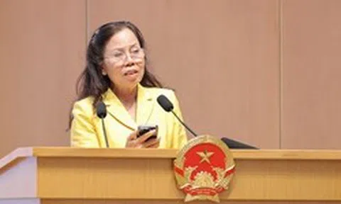 Doanh nghiệp dệt may 30 năm tuổi gây bất ngờ: Trồng tía tô bán 700 đồng/lá, vải không hạt 400.000 đồng/kg