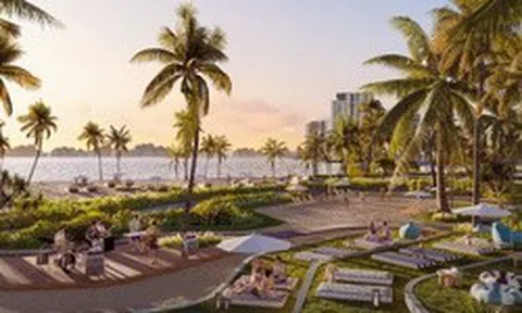 The Spotlight Collection: Khi vị thế “tâm điểm” khơi mở giá trị đầu tư bền vững