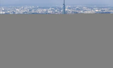 TP.HCM: 3 nguyên tắc xây dựng luật đô thị đặc biệt cho thành phố