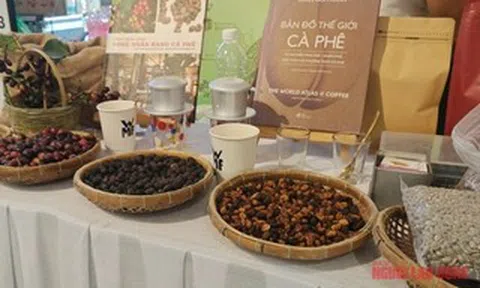 Giá cà phê hôm nay 5-4: Chuẩn bị cho kịch bản giá giảm