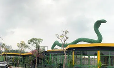 Hà Nội: Loạt công trình xây dựng trên diện tích gần 16.000m2 đất quy hoạch do phường Việt Hưng quản lý