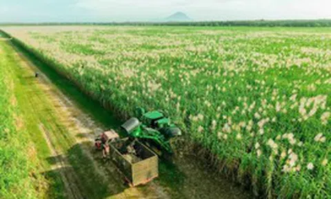 Nghị quyết 79: Làn gió mới cho “hệ sinh thái công – tư đồng hành”