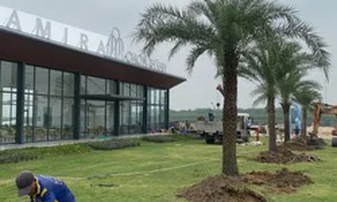 “Gánh nặng” trái phiếu, chủ đầu tư Amira Chơn Thành báo lỗ năm thứ 3 liên tiếp