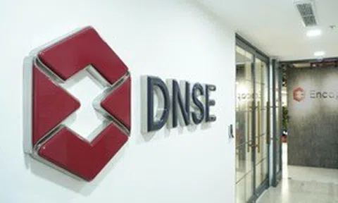 DNSE nối dài chuỗi tăng trưởng thị phần môi giới chứng khoán phái sinh với 25,5% thị phần