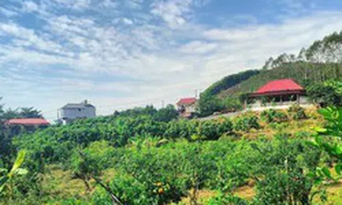 Loại đất và hạn mức công nhận đất ở sau sáp nhập