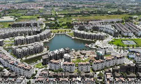 Một doanh nghiệp bất động sản xác định năm 2026 "trắng" doanh thu từ bất động sản, chuyển hướng sang một "mỏ vàng" khác