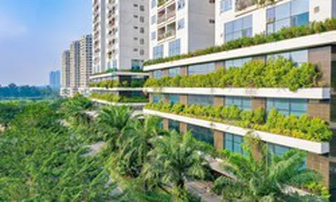 Capital House và hành trình hơn 20 năm “ươm mầm” sống xanh cho đô thị Việt