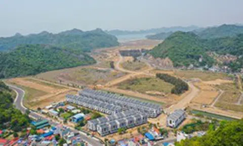 Sau khi siêu dự án 11.000 tỷ tại đảo Cát Bà về tay MIK Group, tham vọng “lột xác” toàn bộ dự án được hé lộ