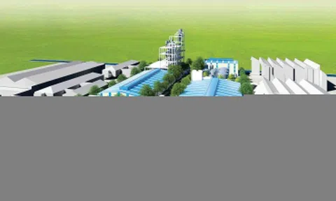 3 thành viên HĐQT bị khởi tố, Hóa chất Đức Giang bầu bổ sung