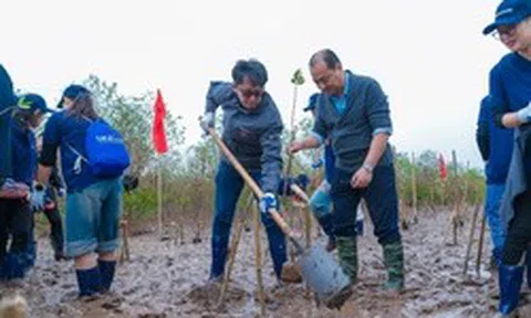 Panasonic Vietnam: Khi phát triển bền vững không phải đích đến mà là hành trình