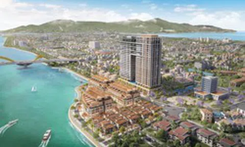 Công ty Cù Lao Chàm báo lãi hơn 775 tỷ đồng trong năm 2025